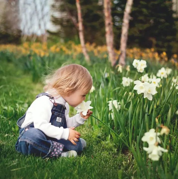 珠海室內(nèi)設(shè)計(jì) 珠海室內(nèi)設(shè)計(jì)